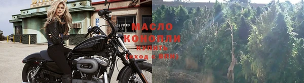 гидра Володарск