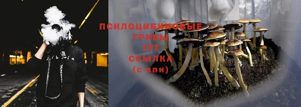 мяу мяу мука Горняк