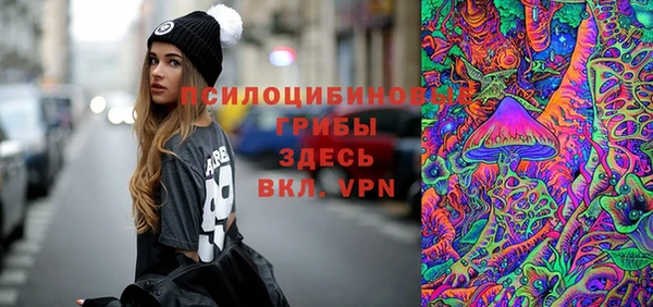 гидра Володарск