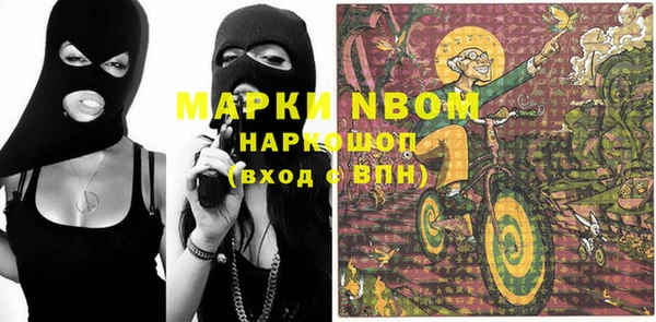 гидра Володарск