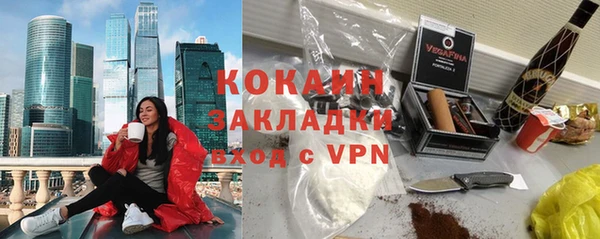 гидра Володарск