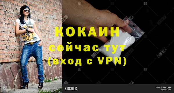 гидра Володарск