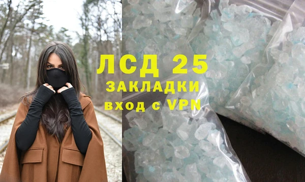 гидра Володарск