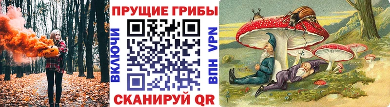 Псилоцибиновые грибы прущие грибы  где найти наркотики  Рыбинск 